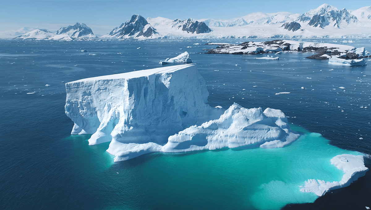 Descoperirea secolului: în Antarctica au fost descoperite animale acvatice nemaivăzute până acum