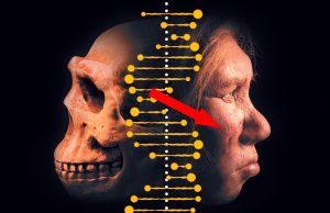 neandertalienii